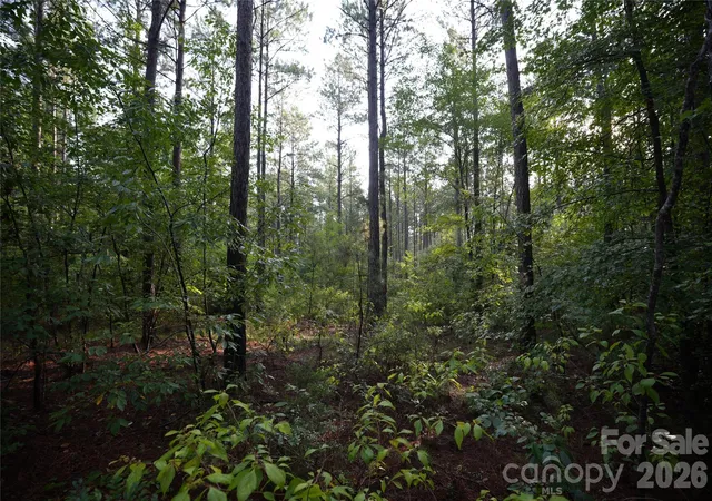 Photo 5 of Land for sale at 00 Bobby Faucette Rd #5, Jonesville, SC 29353 | MLS# 4363561 | Listing updated on 2026-08-18