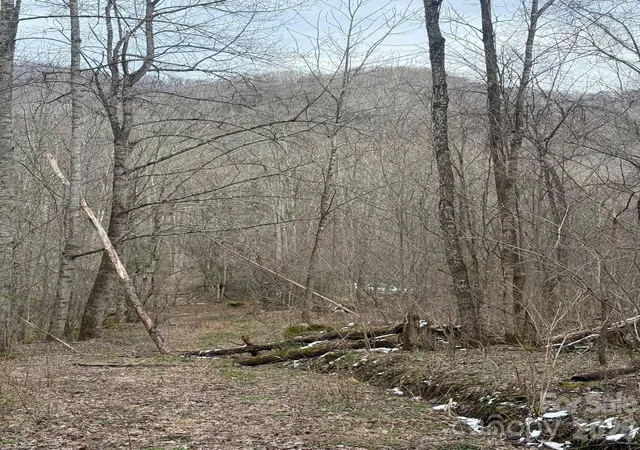 Homes for sale in Marshall, NC | Tbd 121 Acres Jass Cove Rd, Marshall, NC 28753 | MLS# 4363586