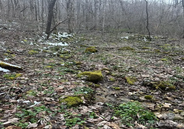 Homes for sale in Marshall, NC | Tbd 121 Acres Jass Cove Rd, Marshall, NC 28753 | MLS# 4363586