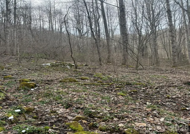 Homes for sale in Marshall, NC | Tbd 121 Acres Jass Cove Rd, Marshall, NC 28753 | MLS# 4363586
