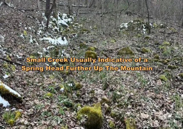 Homes for sale in Marshall, NC | Tbd 121 Acres Jass Cove Rd, Marshall, NC 28753 | MLS# 4363586