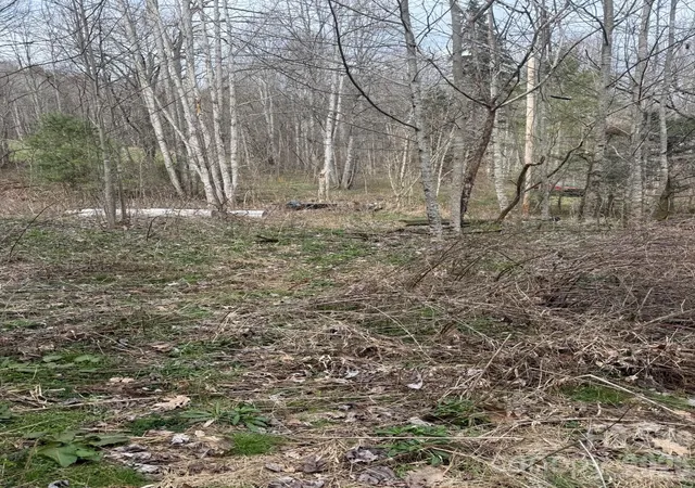 Homes for sale in Marshall, NC | Tbd 12 Acres Jass Cove Rd, Marshall, NC 28753 | MLS# 4363630