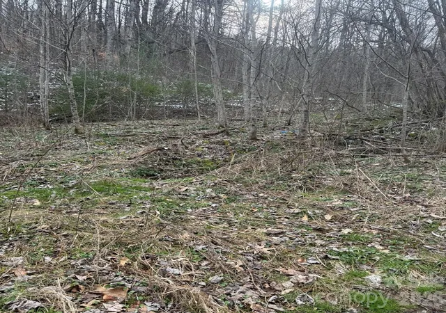 Homes for sale in Marshall, NC | Tbd 12 Acres Jass Cove Rd, Marshall, NC 28753 | MLS# 4363630