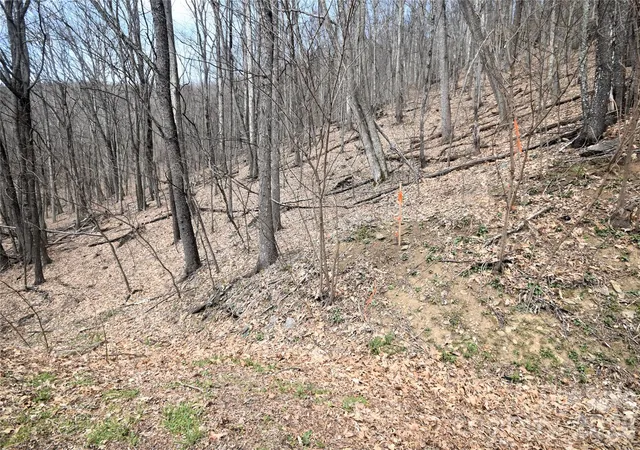 Photo 3 of Land for sale at 45 Prosperity Ridge #45, Waynesville, NC 28785 | MLS# 4363634 | Listing updated on 2026-06-14