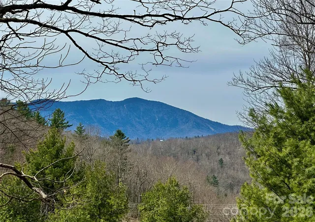 Homes for sale in Little Switzerland, NC | 65 Blue Ridge Gem Stone Rd, Little Switzerland, NC 28777 | MLS# 4363654