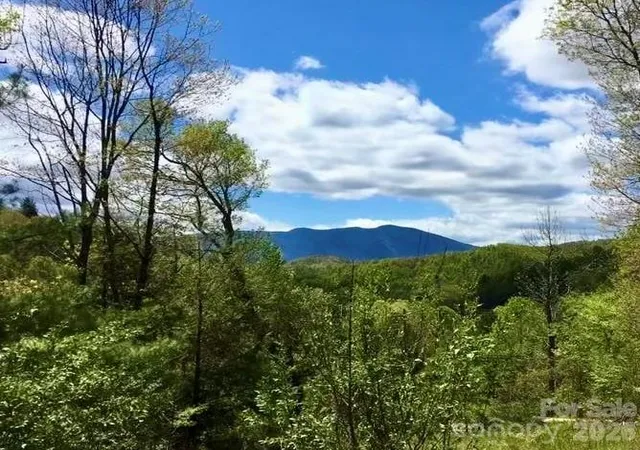 Homes for sale in Little Switzerland, NC | 65 Blue Ridge Gem Stone Rd, Little Switzerland, NC 28777 | MLS# 4363654