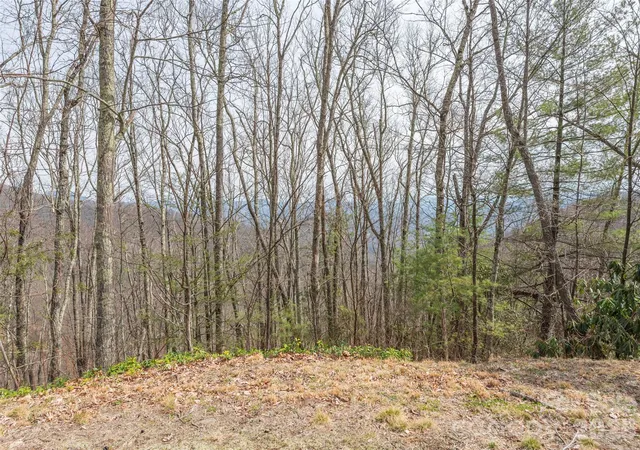 Photo 3 of Land for sale at 0000 Sigogglin Trl #4, Waynesville, NC 28785 | MLS# 4363872 | Listing updated on 2026-03-31