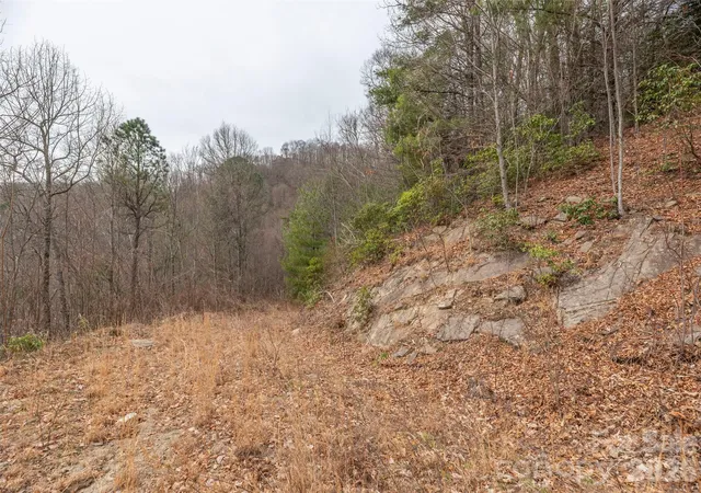 Photo 3 of Land for sale at 000 Sigogglin Rd #17, Waynesville, NC 28786 | MLS# 4363914 | Listing updated on 2026-03-31