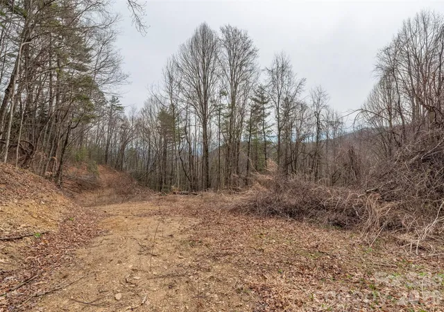Photo 3 of Land for sale at 000 Sigogglin Rd #17, Waynesville, NC 28786 | MLS# 4363914 | Listing updated on 2026-03-31