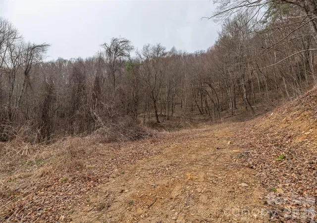 Photo 4 of Land for sale at 000 Sigogglin Rd #17, Waynesville, NC 28786 | MLS# 4363914 | Listing updated on 2026-03-31