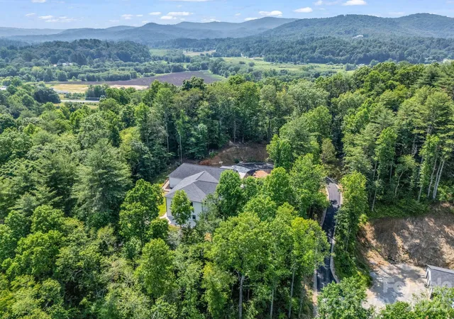 Homes for sale in Horse Shoe, NC | 5717 Turnpike Rd, Horse Shoe, NC 28742 | MLS# 4364041