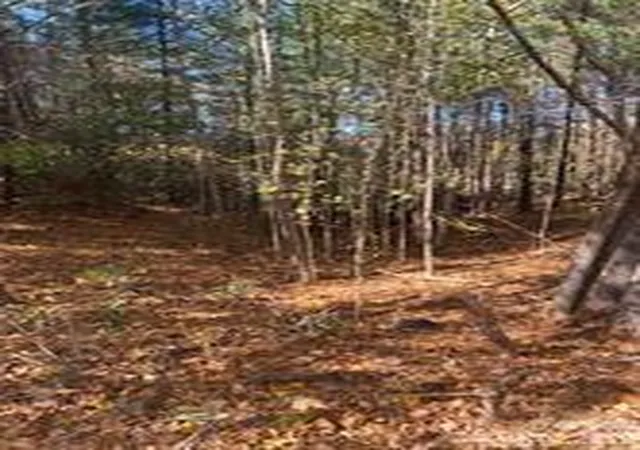 Homes for sale in Nebo, NC | 436 Sunset Point Pkwy #39, Nebo, NC 28761 | MLS# 4364124