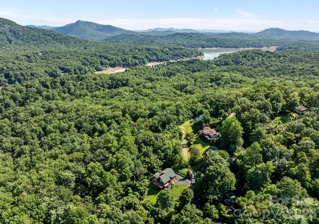 Homes for sale in Lake Lure, NC | 173 Mistletoe Park, Lake Lure, NC 28746 | MLS# 4364137