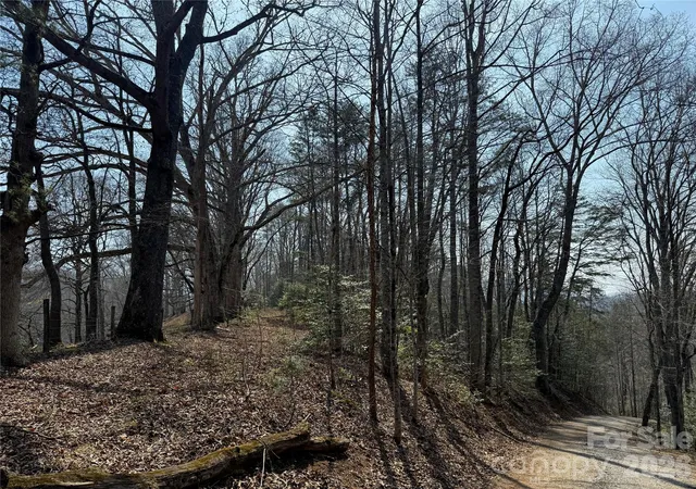 Photo 1 of Land for sale at Lot 1 & 2 Boot Hl Rd, Whittier, NC 28789 | MLS# 4364188 | Listing updated on 2026-04-09