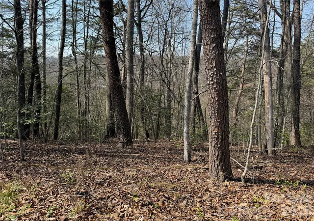 Photo 4 of Land for sale at Lot 1 & 2 Boot Hl Rd, Whittier, NC 28789 | MLS# 4364188 | Listing updated on 2026-04-09
