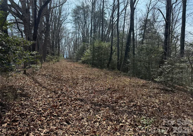 Photo 5 of Land for sale at Lot 1 & 2 Boot Hl Rd, Whittier, NC 28789 | MLS# 4364188 | Listing updated on 2026-04-09