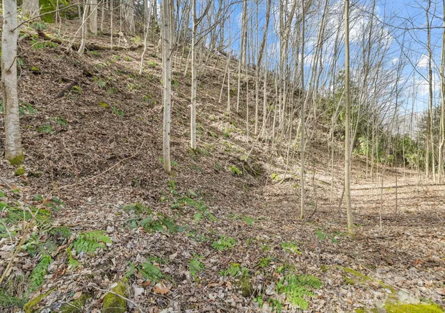 Photo 1 of Land for sale at 00 Lady Bug Ln W #26, Maggie Valley, NC 28751 | MLS# 4364207 | Listing updated on 2026-10-01