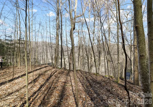 Photo 2 of Land for sale at 00 Lady Bug Ln W #26, Maggie Valley, NC 28751 | MLS# 4364207 | Listing updated on 2026-10-01