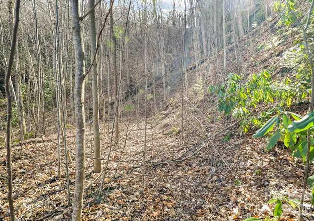 Photo 3 of Land for sale at 00 Lady Bug Ln W #26, Maggie Valley, NC 28751 | MLS# 4364207 | Listing updated on 2026-10-01
