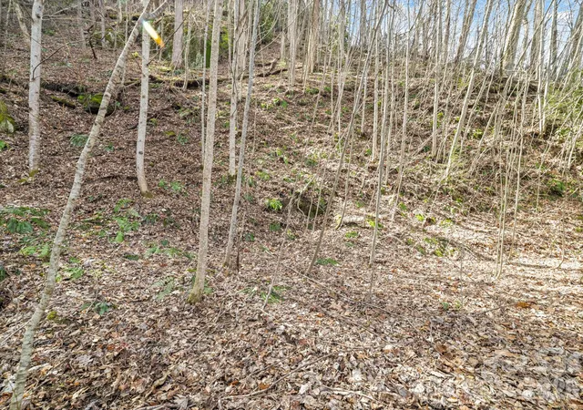 Photo 3 of Land for sale at 00 Lady Bug Ln W #26, Maggie Valley, NC 28751 | MLS# 4364207 | Listing updated on 2026-10-01