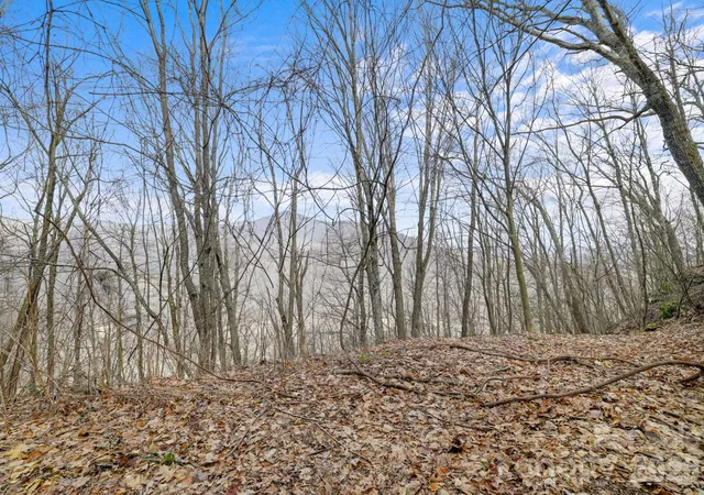 Photo 2 of Land for sale at 00 Forest Dr #14, Maggie Valley, NC 28751 | MLS# 4364235 | Listing updated on 2026-10-01