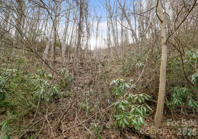 Photo 3 of Land for sale at 00 Forest Dr #14, Maggie Valley, NC 28751 | MLS# 4364235 | Listing updated on 2026-10-01