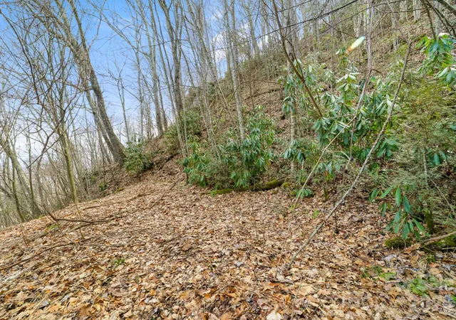 Photo 3 of Land for sale at 00 Forest Dr #14, Maggie Valley, NC 28751 | MLS# 4364235 | Listing updated on 2026-10-01