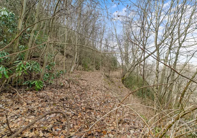Photo 4 of Land for sale at 00 Forest Dr #14, Maggie Valley, NC 28751 | MLS# 4364235 | Listing updated on 2026-10-01