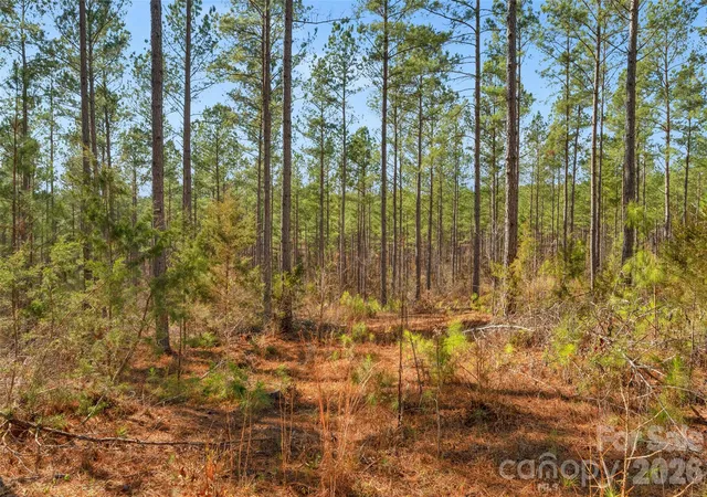 3rd image of 000 Peacehaven Rd #2, Mc Connells, SC 29726 | MLS# 4364283