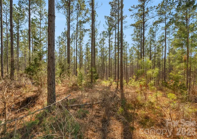 4th image of 000 Peacehaven Rd #2, Mc Connells, SC 29726 | MLS# 4364283