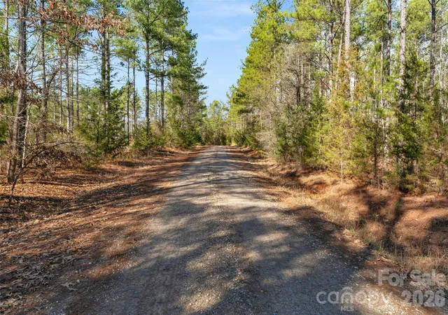 5th image of 000 Peacehaven Rd #2, Mc Connells, SC 29726 | MLS# 4364283