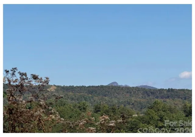 Photo 3 of Land for sale at Lot #4 Pisgah Preserve Dr, Nebo, NC 28761 | MLS# 4364307 | Listing updated on 2026-04-04