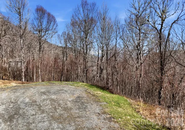 Homes for sale in Banner Elk, NC | Lot 5 Chappell Farm North N, Banner Elk, NC 28604 | MLS# 4364425