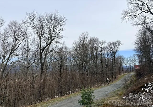 Homes for sale in Banner Elk, NC | Lot 6 Chappell Farm North N, Banner Elk, NC 28604 | MLS# 4364437