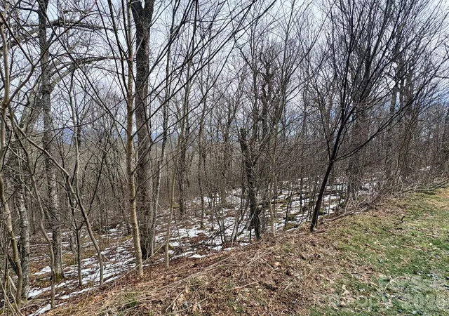 Homes for sale in Banner Elk, NC | Lot 6 Chappell Farm North N, Banner Elk, NC 28604 | MLS# 4364437