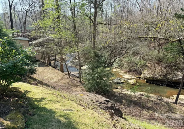 48th image of 3695 Nc 9 Hwy N, Mill Spring, NC 28756 | MLS# 4364501