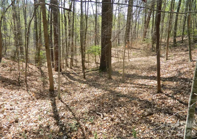 5th image of 1329 Overlook Dr Sw, Lenoir, NC 28645 | MLS# 4364627