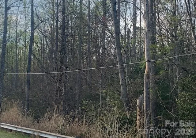 19th image of 767 Ac Holbert Cove Rd #7.67 AC., Saluda, NC 28773 | MLS# 4364635