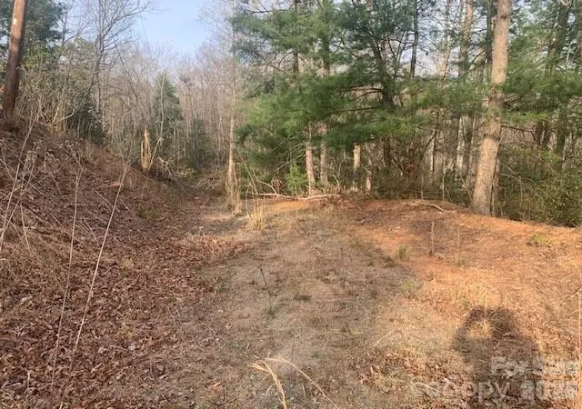 1st image of 767 Ac Holbert Cove Rd #7.67 AC., Saluda, NC 28773 | MLS# 4364635