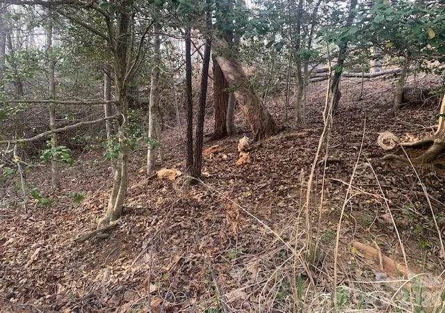 2nd image of 767 Ac Holbert Cove Rd #7.67 AC., Saluda, NC 28773 | MLS# 4364635