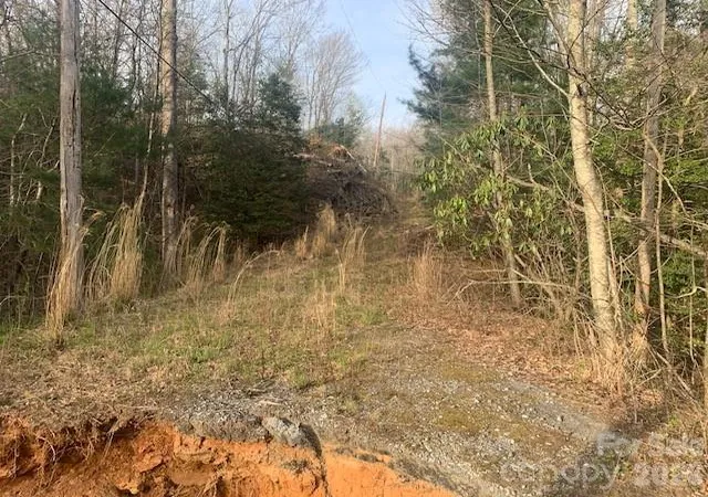 3rd image of 767 Ac Holbert Cove Rd #7.67 AC., Saluda, NC 28773 | MLS# 4364635