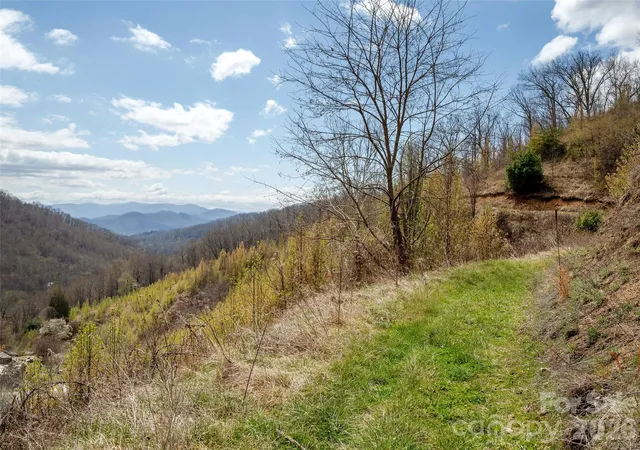 4th image of Tbd Wilson Cove Rd, Canton, NC 28716 | MLS# 4364670