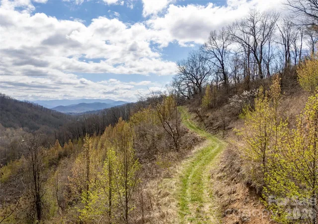 2nd image of Tbd Wilson Cove Rd, Canton, NC 28716 | MLS# 4364670