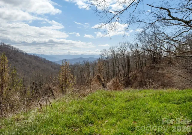 1st image of Tbd Wilson Cove Rd, Canton, NC 28716 | MLS# 4364670