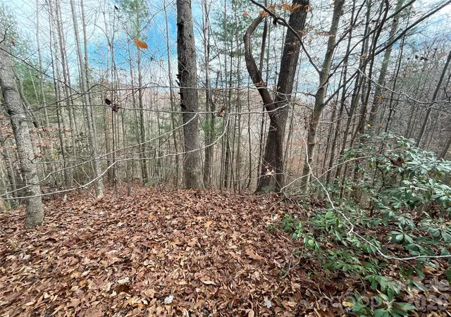 2nd image of 3308 Valley Dr #9m 10m, Lenoir, NC 28645 | MLS# 4364755