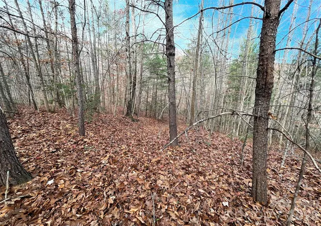 4th image of 3308 Valley Dr #9m 10m, Lenoir, NC 28645 | MLS# 4364755