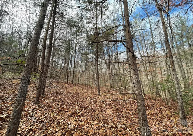 5th image of 3308 Valley Dr #9m 10m, Lenoir, NC 28645 | MLS# 4364755