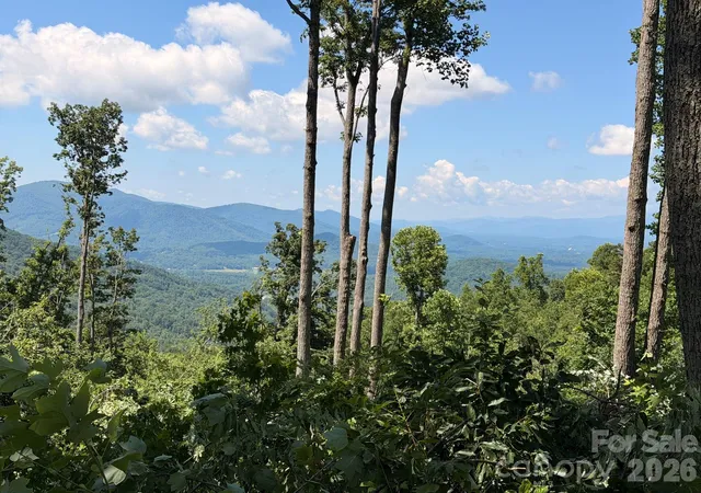 Homes for sale in Swannanoa, NC | 588 Long Branch Rd, Swannanoa, NC 28778 | MLS# 4364788