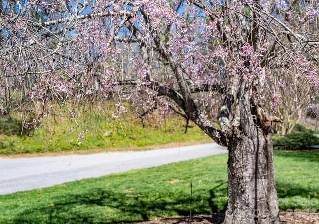 3rd image of 4 Dogwood Rd, Asheville, NC 28804 | MLS# 4364830