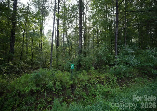 Photo 1 of Land for sale at 00 Bobby Faucette Rd #6, Jonesville, SC 29353 | MLS# 4365032 | Listing updated on 2026-08-18